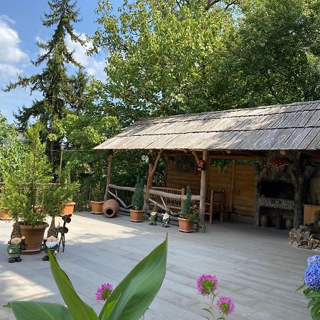 Anano's Guesthouse Borjomi Exterior foto
