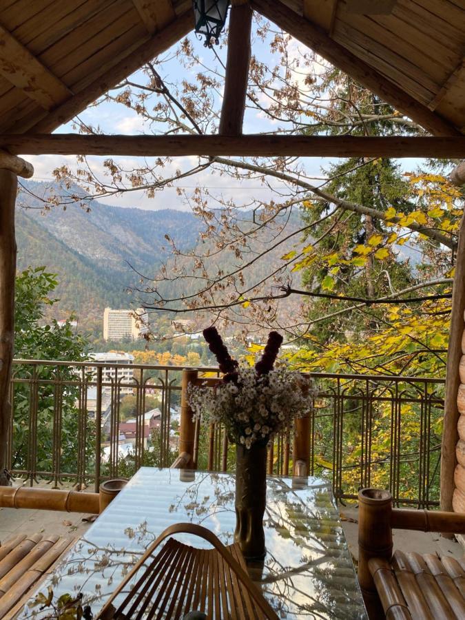 Anano's Guesthouse Borjomi Exterior foto