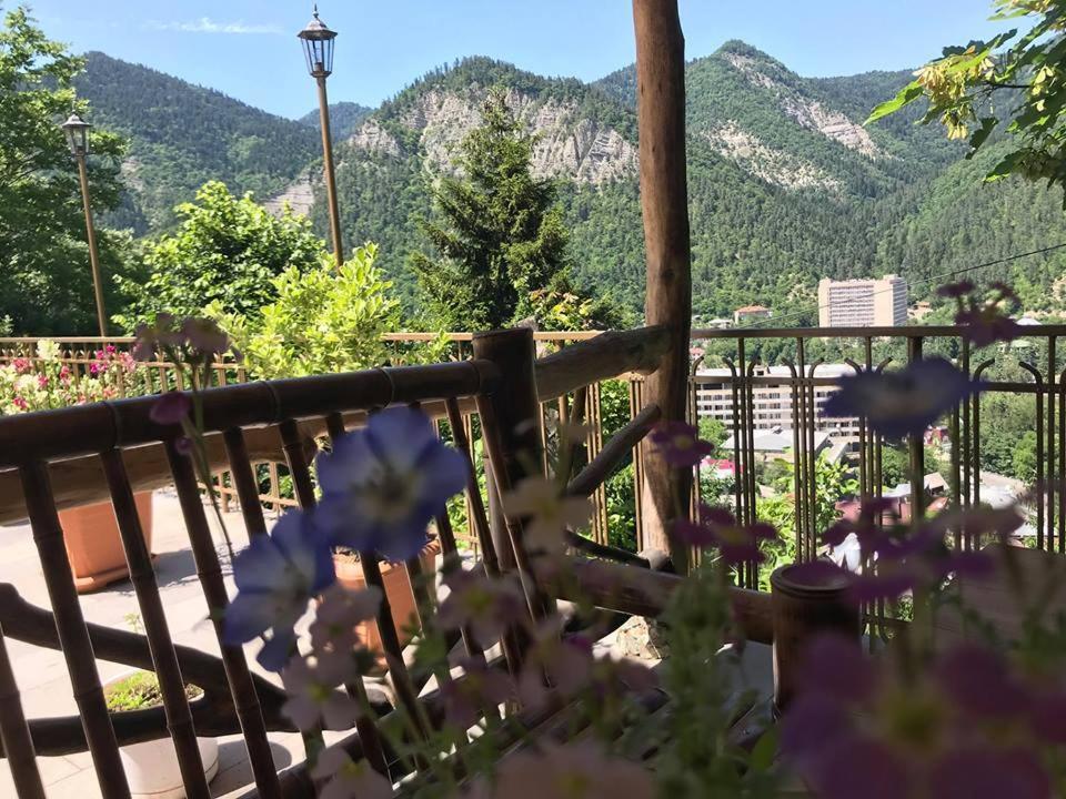 Anano's Guesthouse Borjomi Exterior foto